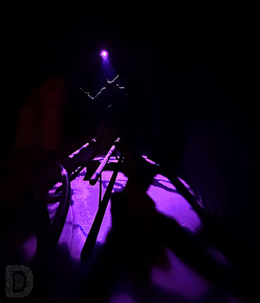 Scooby Doo Spooky Coaster